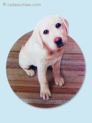 Tapis de souris avec en fond un petit Labrador