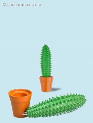 Stylo en forme de cactus en pot