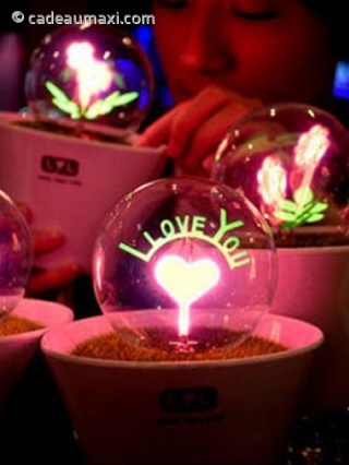 Lampe transparente I love You