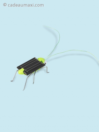 Criquet fonctionnant à l'énergie solaire