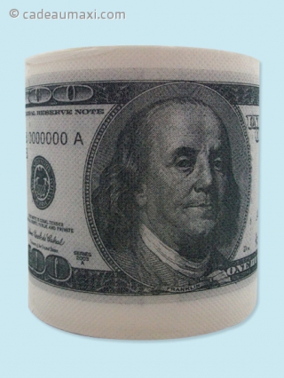 Rouleau de dollars en papier hygiénique