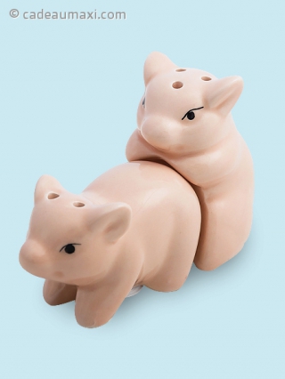 Salière et poivrière petits cochons