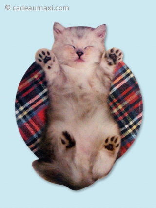 Tapis de souris en forme de chaton allongé sur le dos