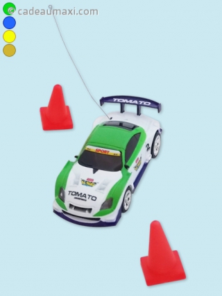 Petite voiture télécommandée avec circuit à plots