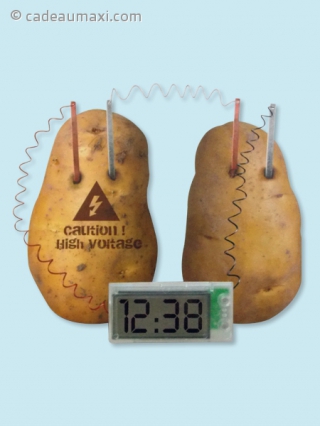 Réveil à énergie de pommes de terre