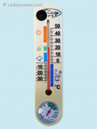 Thermomètre avec caméra intégrée
