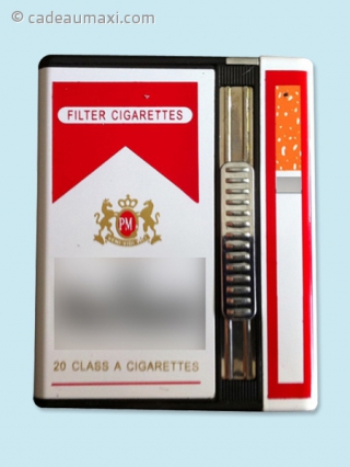 Etui à cigarettes avec caméra miniature et briquet à gaz